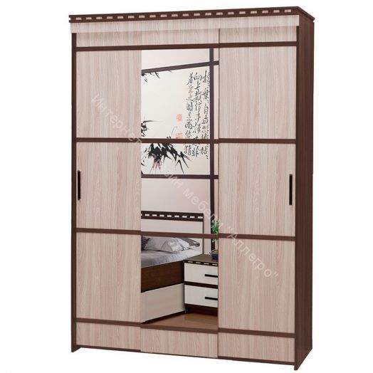 Шкаф купе 3-х дверный "Ольга 13"