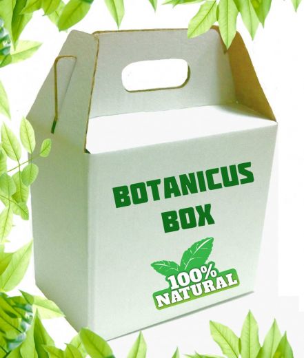 BOTANICUS Box - 2 + маска в подарок!