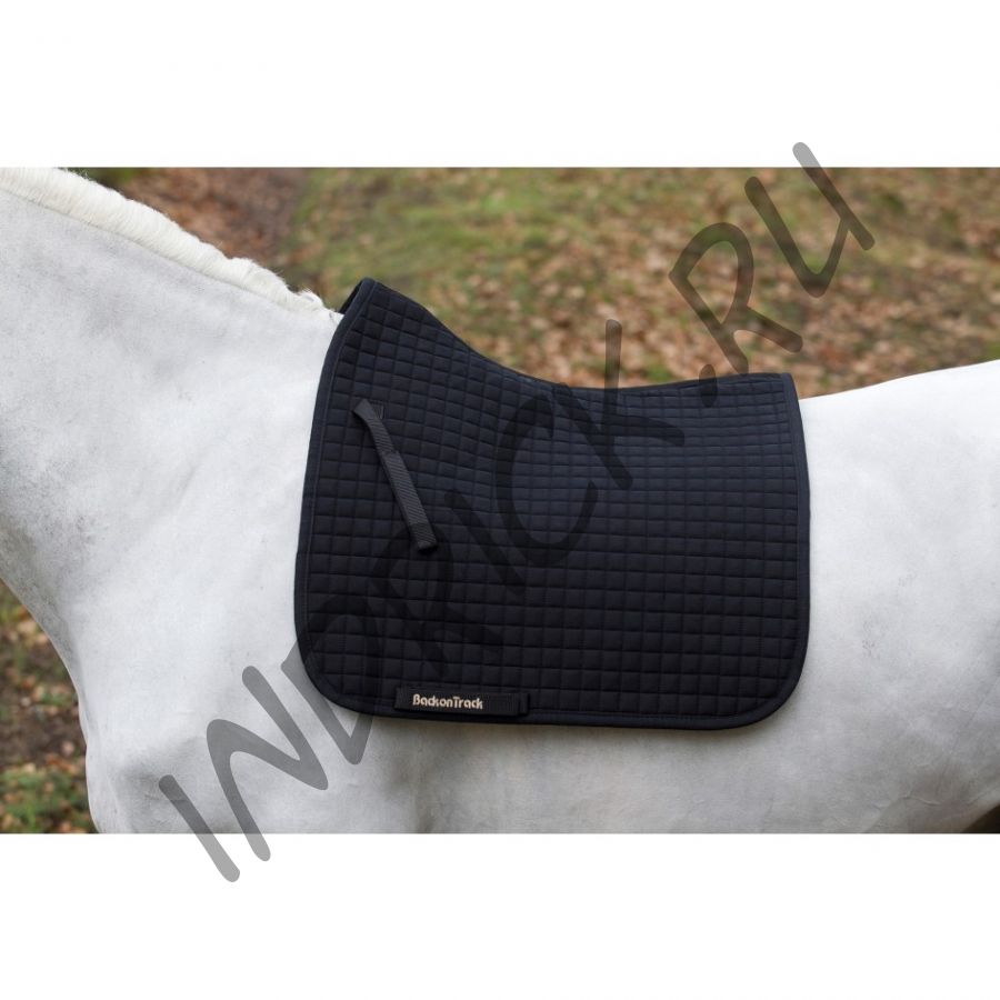 Выездковый вальтрап Back on Track №1 New черный