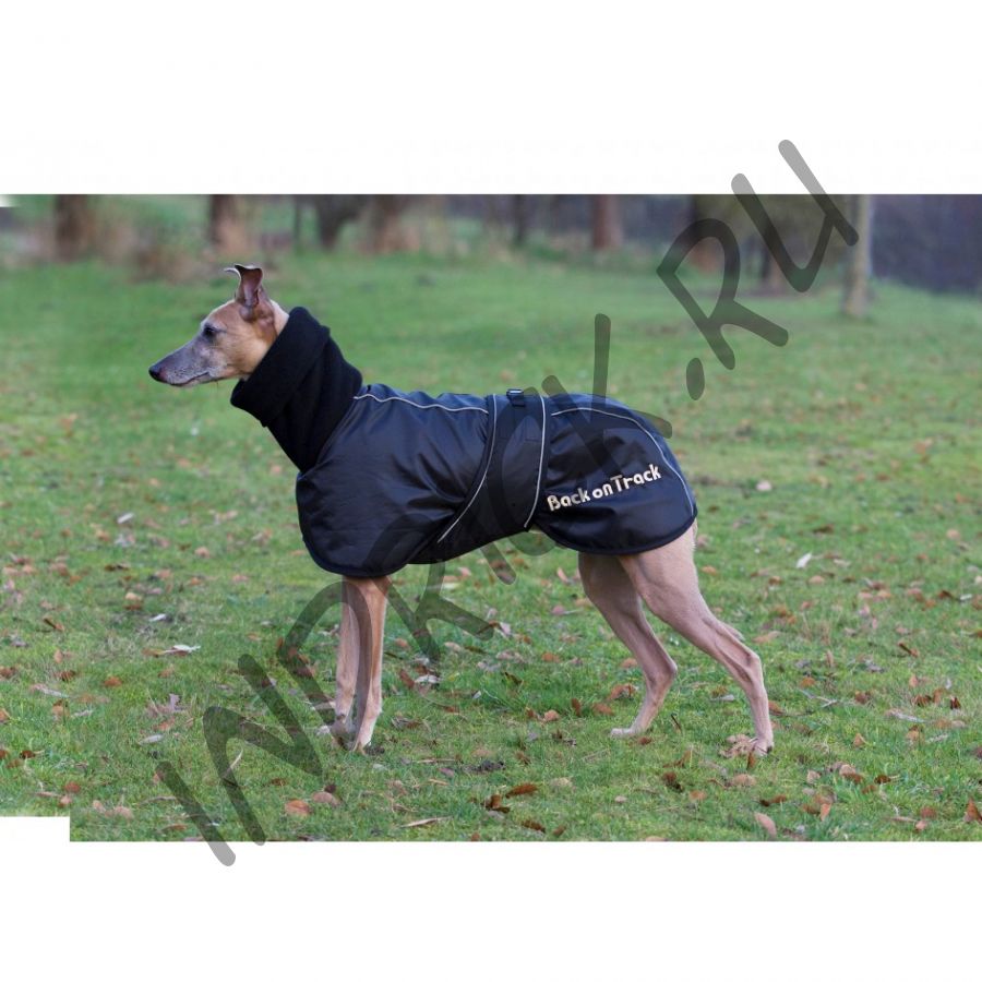 Непромокаемая утепленная попона Back on Track Whippet для уиппета