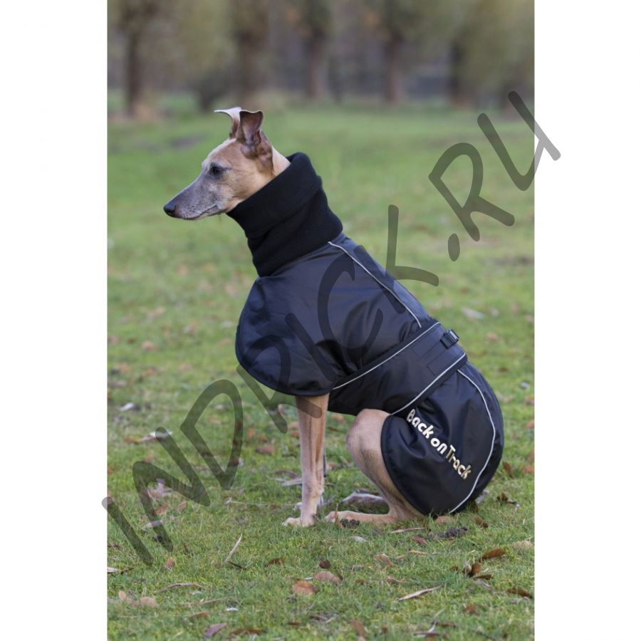 Непромокаемая утепленная попона Back on Track Whippet для уиппета