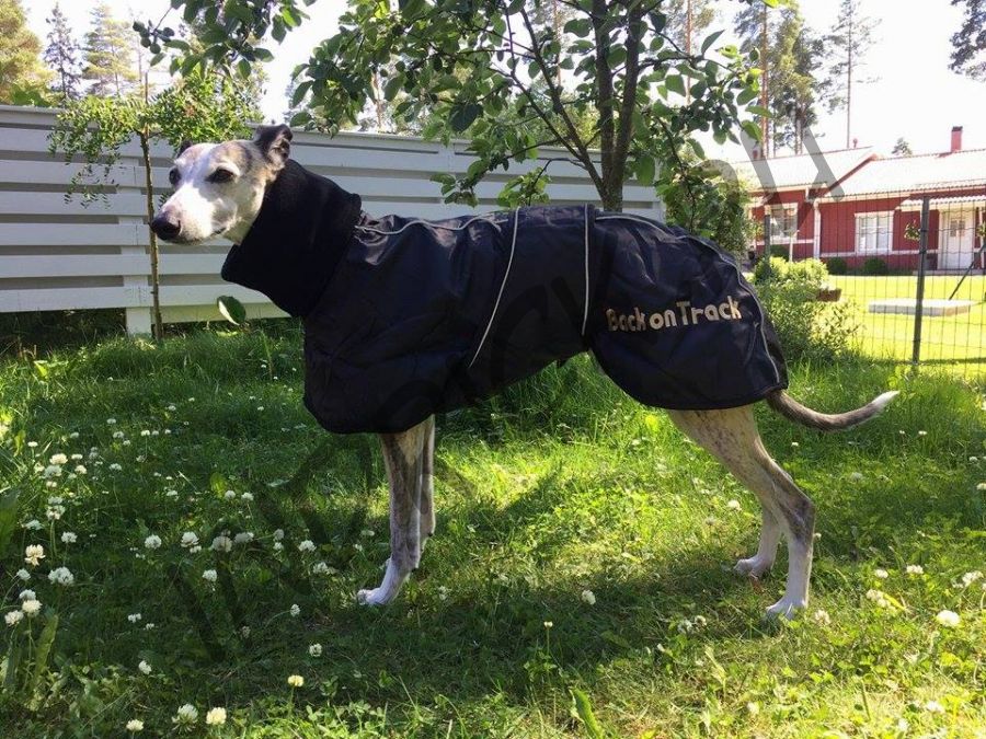 Непромокаемая утепленная попона Back on Track Whippet для уиппета