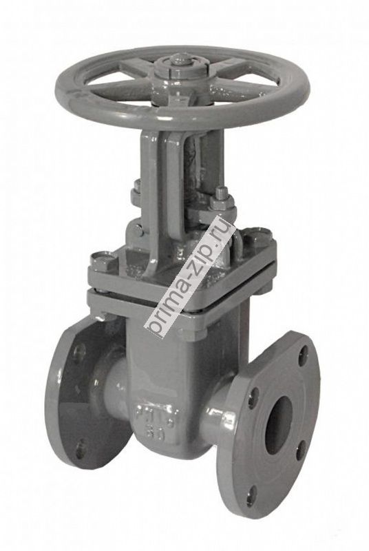 Задвижка клиновая с выдвижным шпинделем 30с41нж Ру-16, Ду-80 в комплекте с фланцами и крепежом