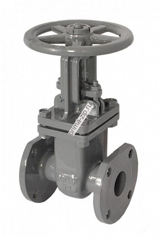 Задвижка клиновая с выдвижным шпинделем 30с41нж Ру-16, Ду-100 в комплекте с фланцами и крепежом