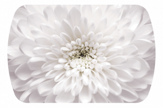 Стол овальный "Бостон-2" Флоренс/хром триумф