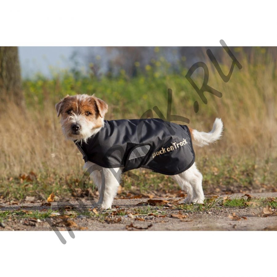 Прогулочная попона для собак Back on Track Hugo Standart