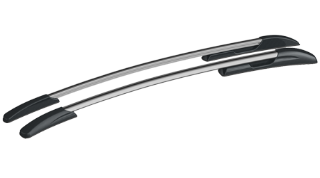 Рейлинги на Ford FOCUS III, анод серый