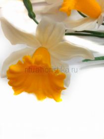 Искусственный нарцисс королевский 3 головы 50 см
