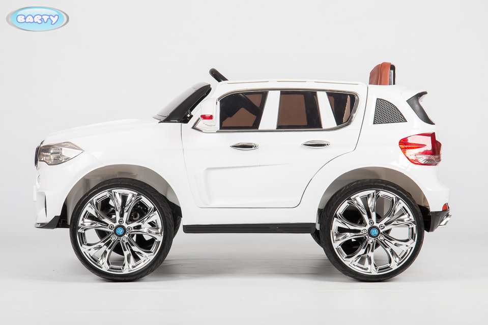 213.BMW X5 white