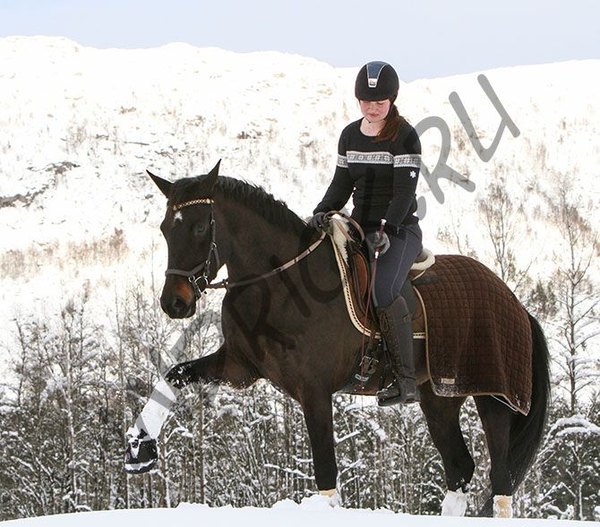 Ботинки для копыт Equine Fusion Active Slim (пара)