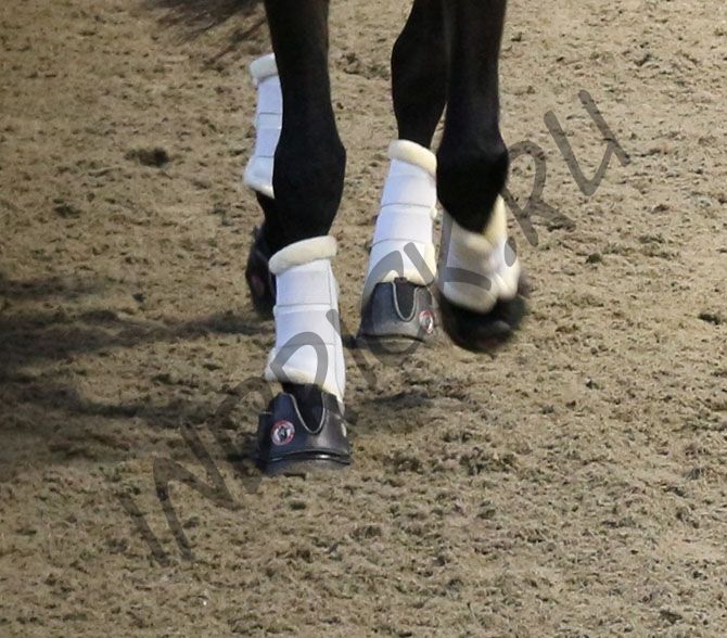 Ботинки для копыт Equine Fusion Active Slim (пара)