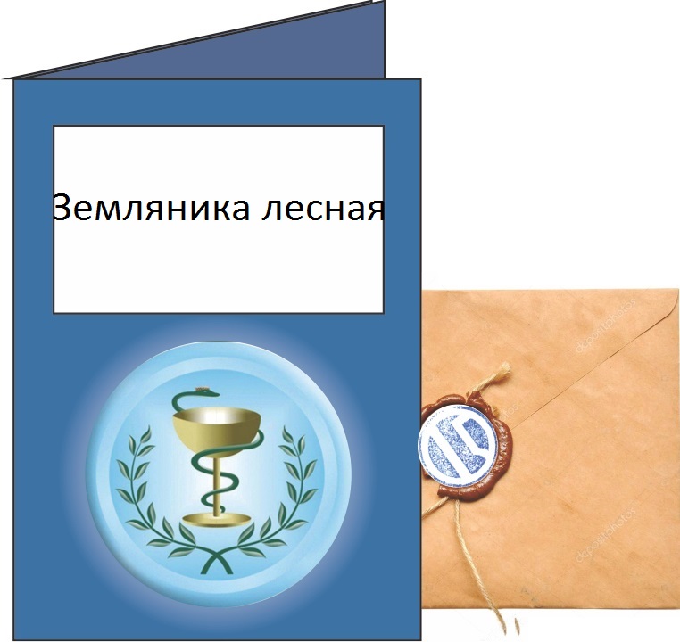 Земляника