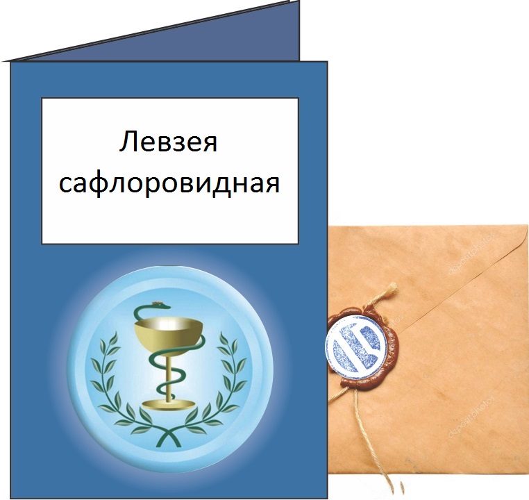 Левзея