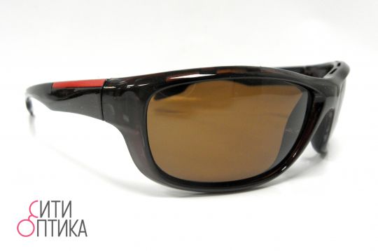 Polarized P3008