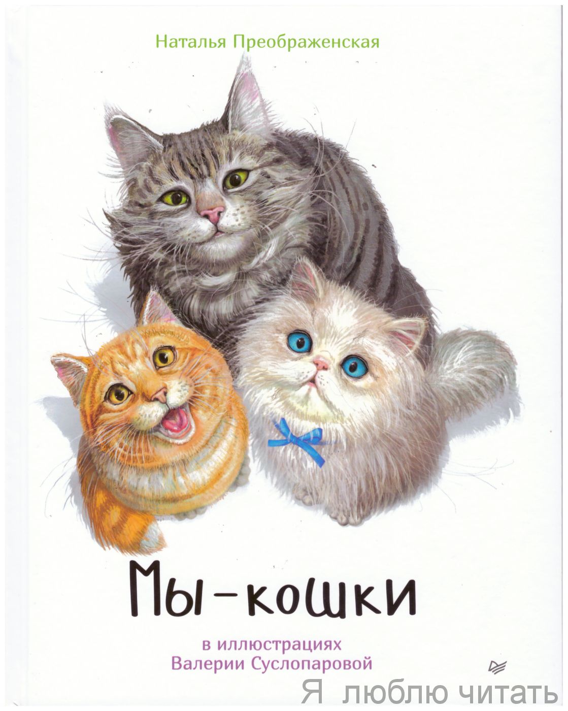Мы — кошки.