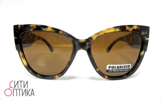 Polarized 8042