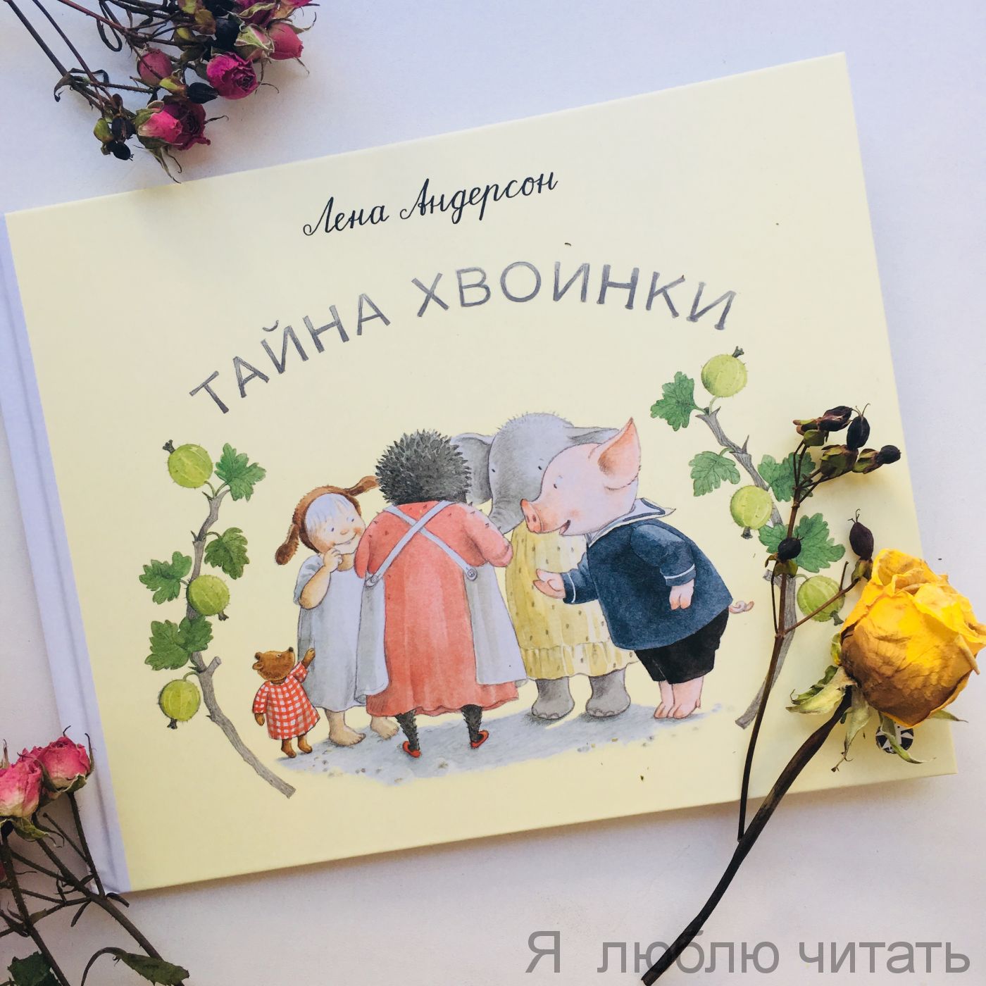 Тайна Хвоинки.
