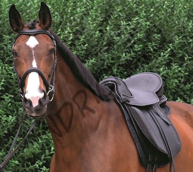 Безленчиковое седло Barefoot  PRO Lexington