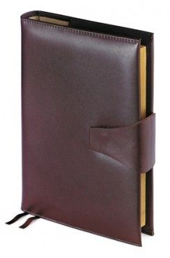 Ежедневник-портфолио Bruno Visconti  "Windsor", А5, полудатированный, коричневый