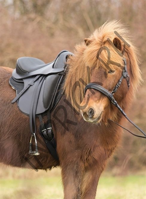 Безленчиковое седло Barefoot Merlyn