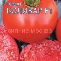 Томат Боливар F1