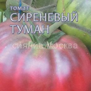 Томат Сиреневый Туман