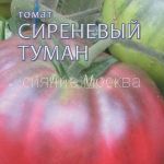 Томат Сиреневый Туман