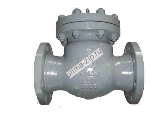 Клапан обратный  КОП Ду300 Ру40 19ч53нж