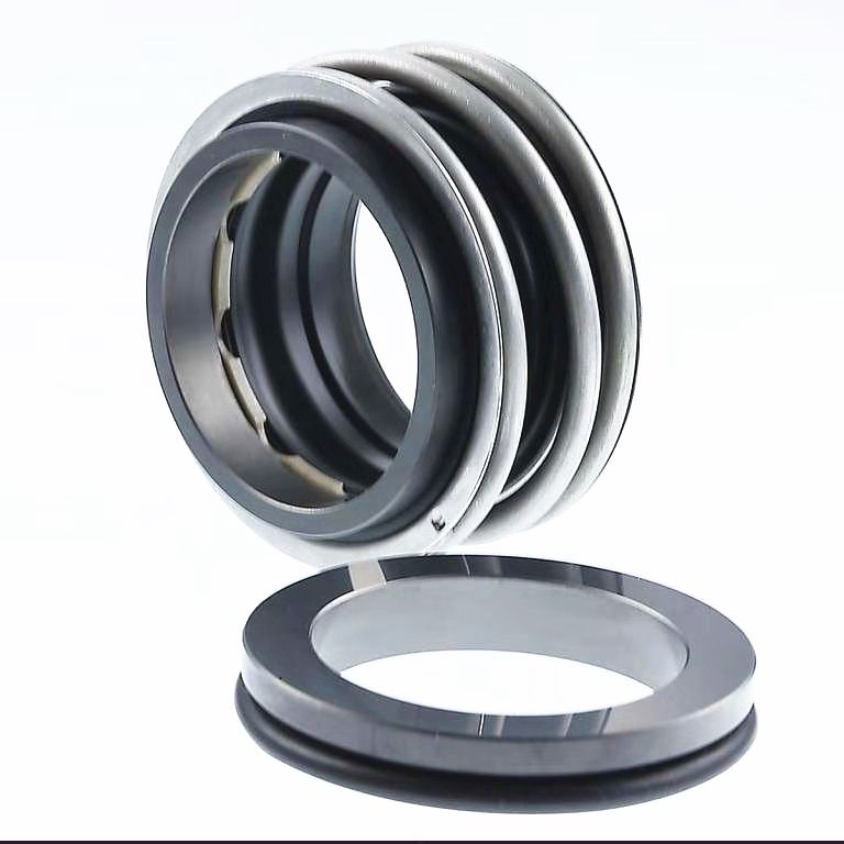 Торцевое уплотнение MG1/65 G6 AQ1EGG