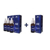 3+1 AE