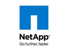 Опция NetApp X1966-KIT4-R6-C Опция NetApp X1966-KIT4-R6-C