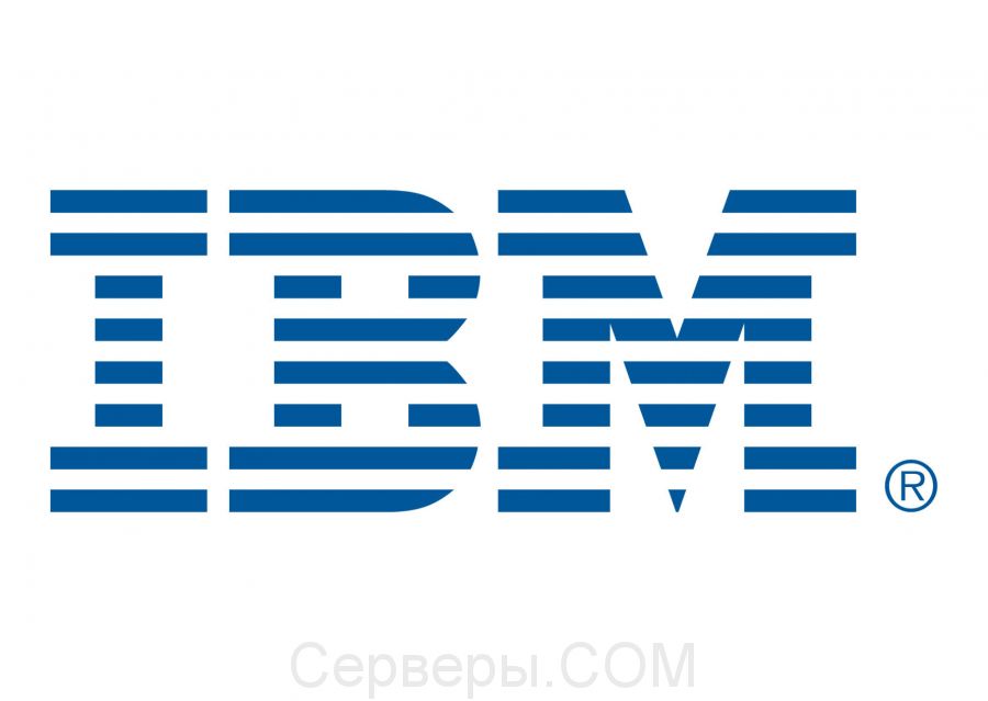 Жесткий диск IBM SAS 2.5 дюйма 49Y1855