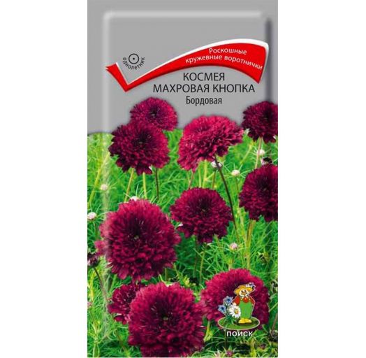 Семена Космея махкнопка бордовая 0,1 гр