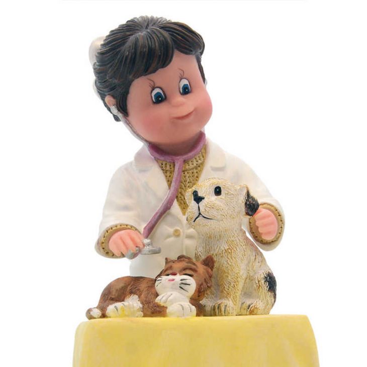 Коллекционная статуэтка из испанской коллекции -  746773 Ветеринар