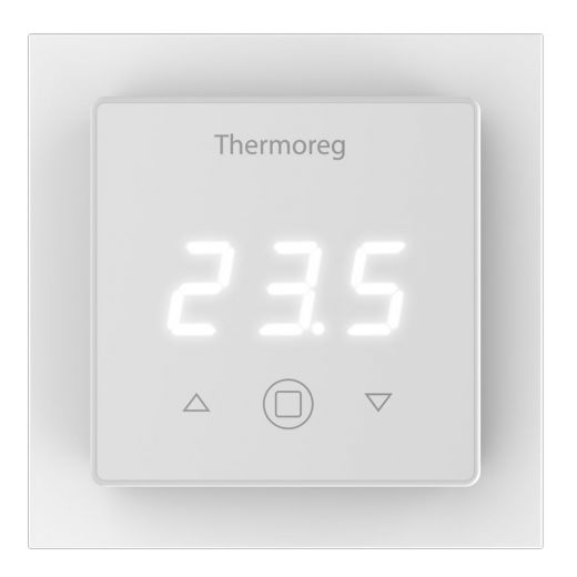 Терморегулятор Thermoreg TI-300