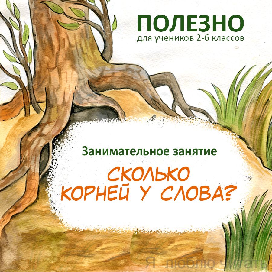 Сколько корней у слова?