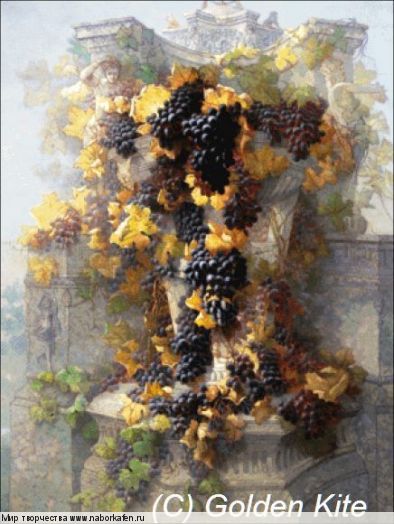 2888 Grapes and Architecture (medium)