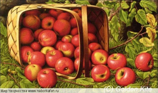 2806 Basket of Apples (medium)