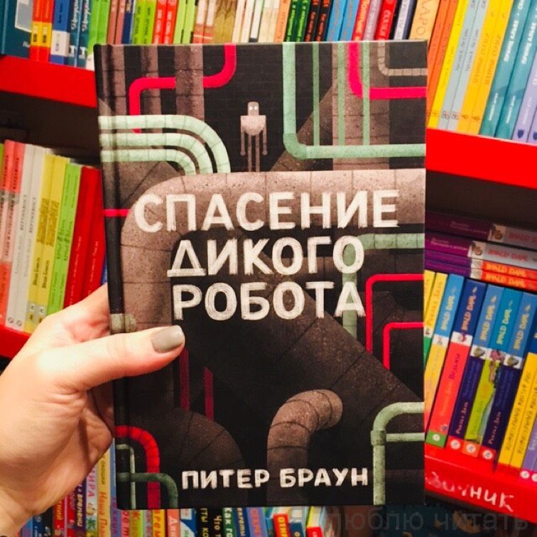 Спасение дикого робота
