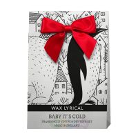 Wax Lyrical Подарочный набор "Первые заморозки"