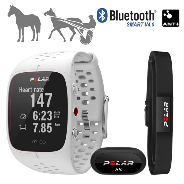 Кардиомонитор POLAR Equine M430, с системой GPS. Для верховой езды