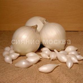 Лук-севок Стардаст F1, 100 г