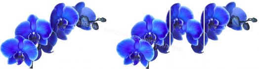 Стол раздвижной Триумф 1,17 (870х600мм) опоры полуовал массив