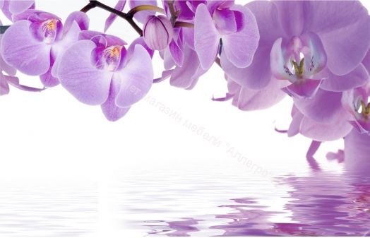 Кухонный гарнитур Риал 2К-100-сиреневый 2000