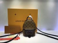 Рюкзак Louis Vuitton Palm Springs Mini