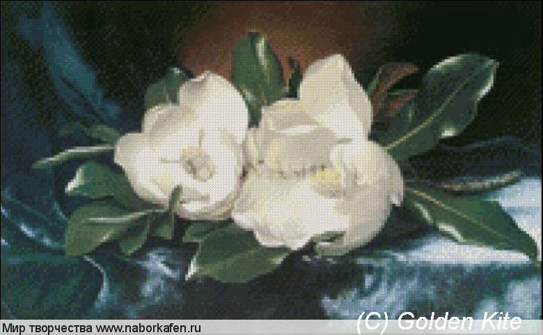 546 Magnolias on a blue velvet cloth