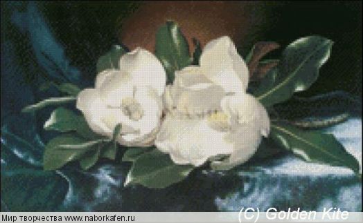 546 Magnolias on a blue velvet cloth