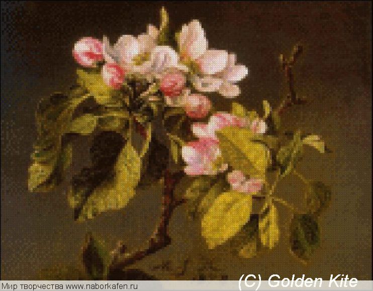 767 Apple Blossoms