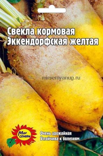 Свекла кормовая Эккендорфская желтая, 20 гр