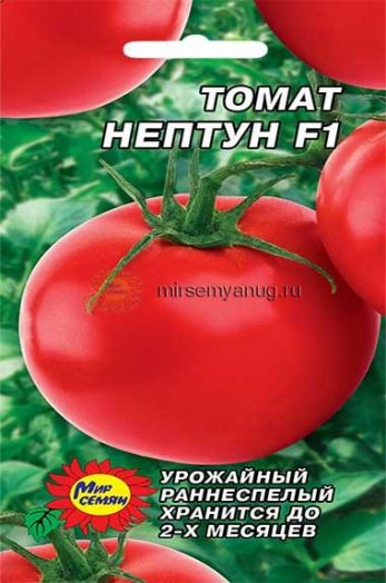Томат Нептун F1, 0,1 гр
